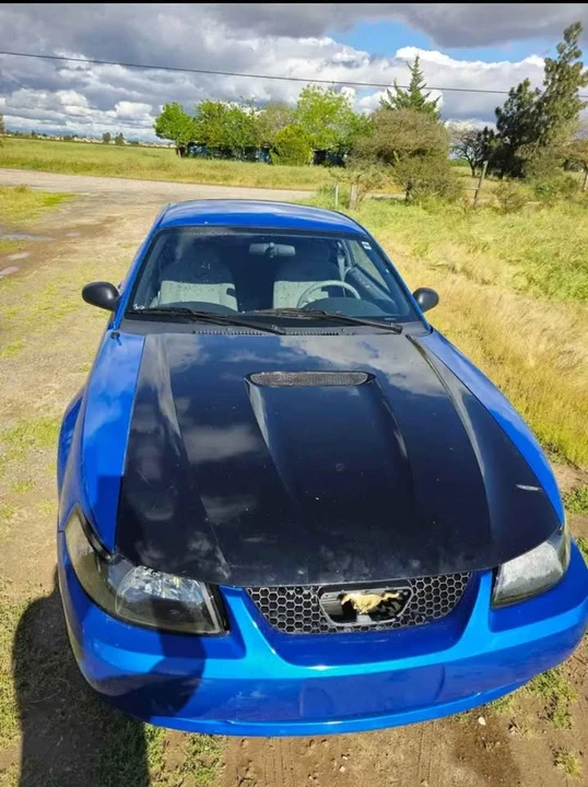 1999 Ford SN95 Mustang - Image 4 of 8