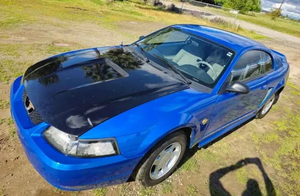1999 Ford SN95 Mustang - Image 3 of 8