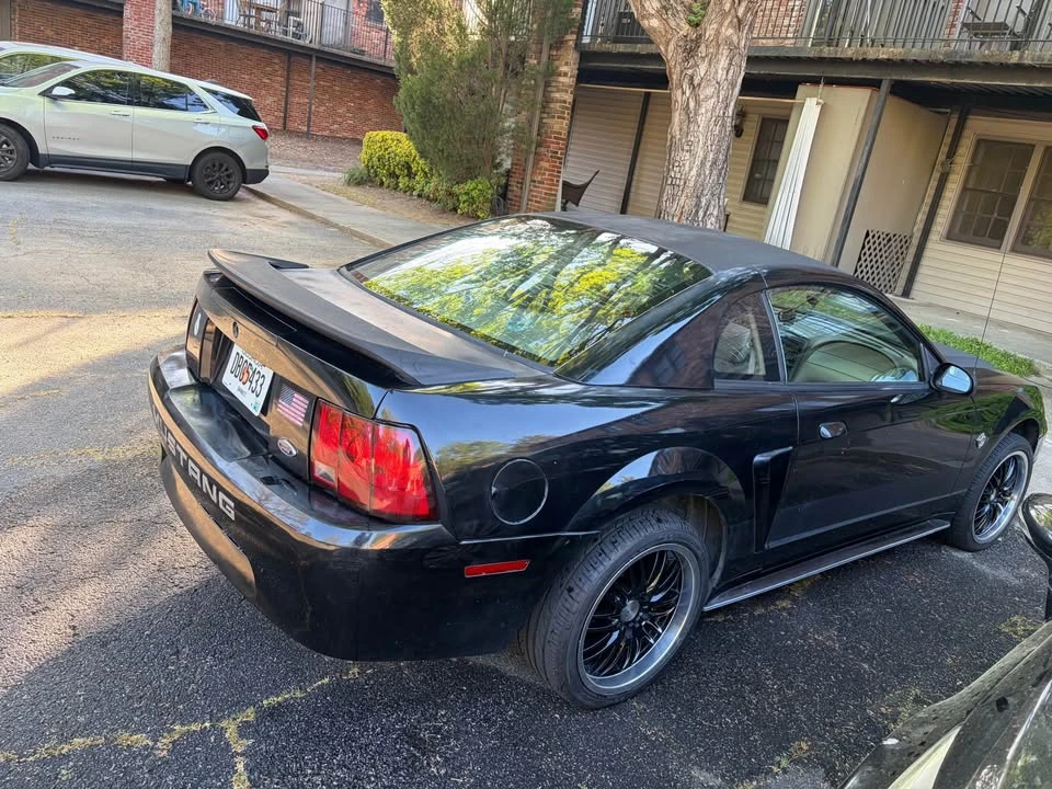 1999 Ford SN95 Mustang - Image 4 of 10