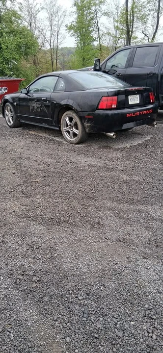 1999 Ford SN95 Mustang - Image 2 of 4