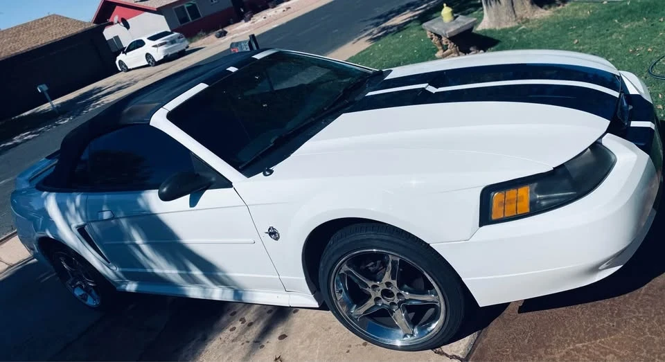 1999 Ford SN95 Mustang - Image 3 of 10