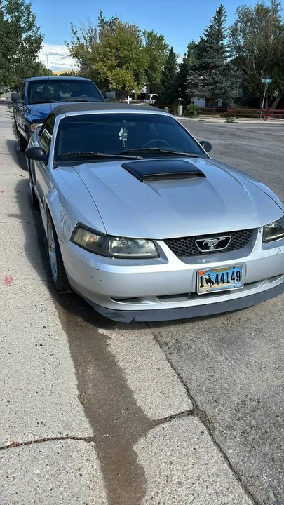1999 Ford SN95 Mustang - Image 4 of 5