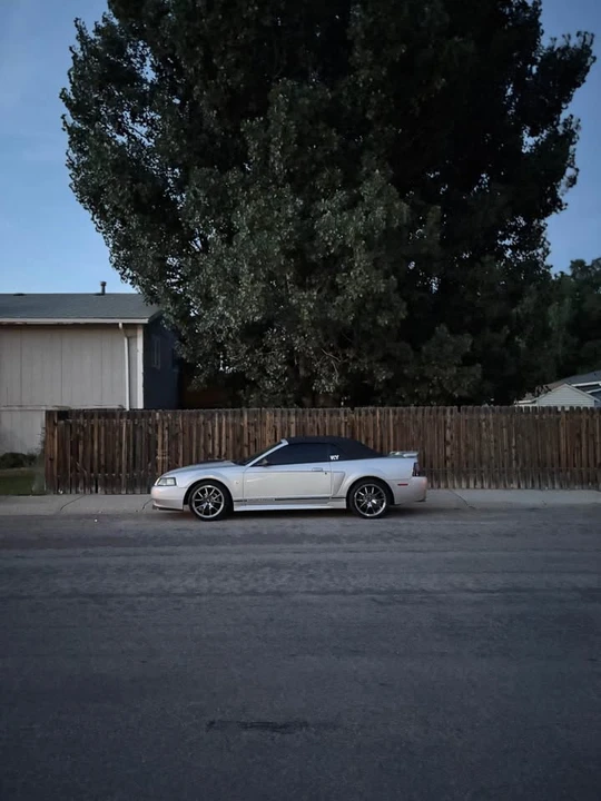1999 Ford SN95 Mustang - Image 3 of 5