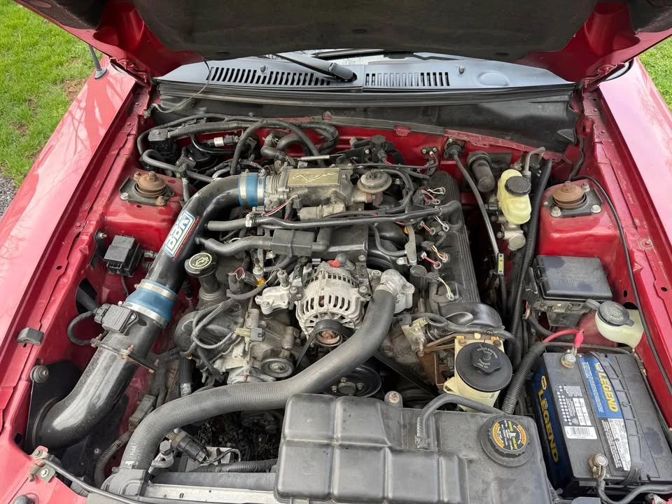 1999 Ford SN95 Mustang - Image 7 of 7