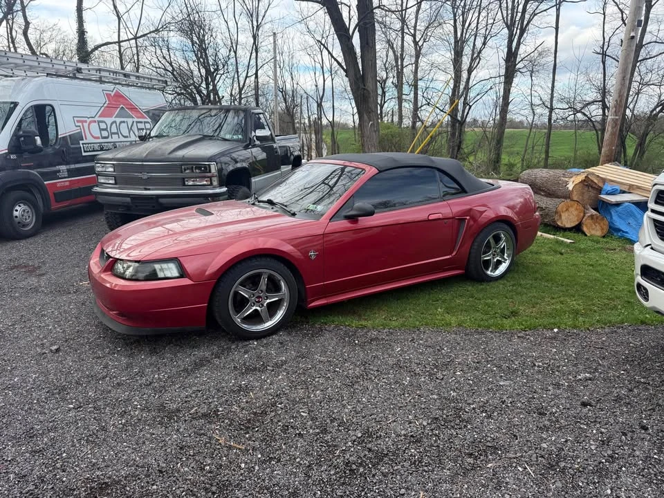 1999 Ford SN95 Mustang - Image 2 of 7