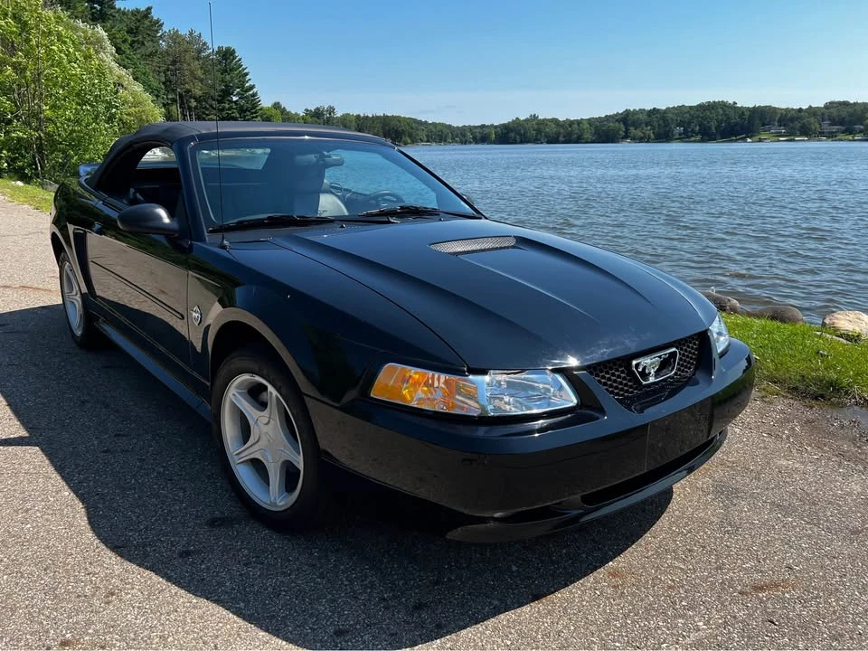 1999 Ford SN95 Mustang - Image 8 of 19