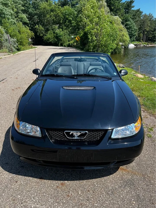 1999 Ford SN95 Mustang - Image 2 of 19