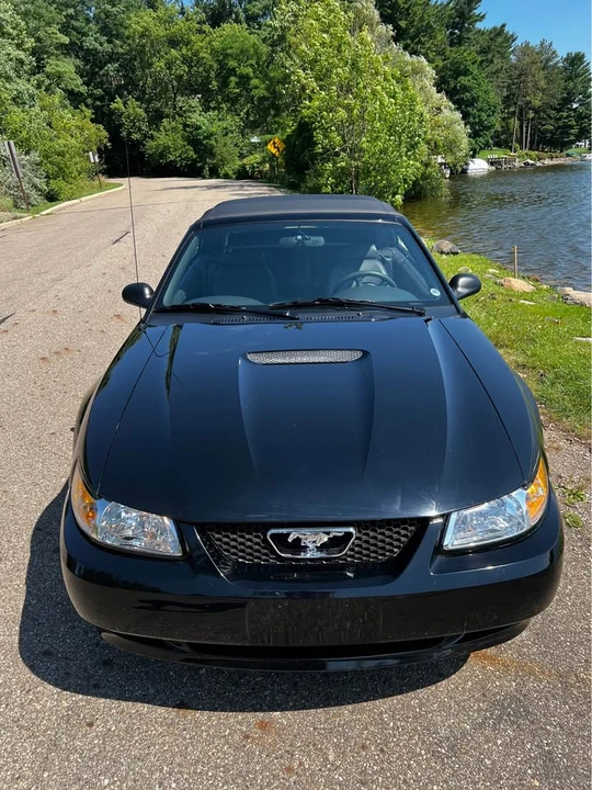 1999 Ford SN95 Mustang - Image 9 of 19