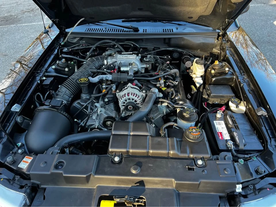 1999 Ford SN95 Mustang - Image 13 of 19
