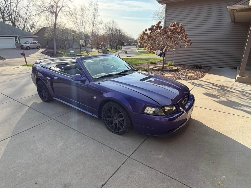 1999 Ford SN95 Mustang - Image 8 of 17