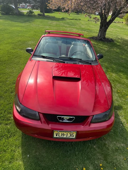 1999 Ford SN95 Mustang - Image 12 of 12