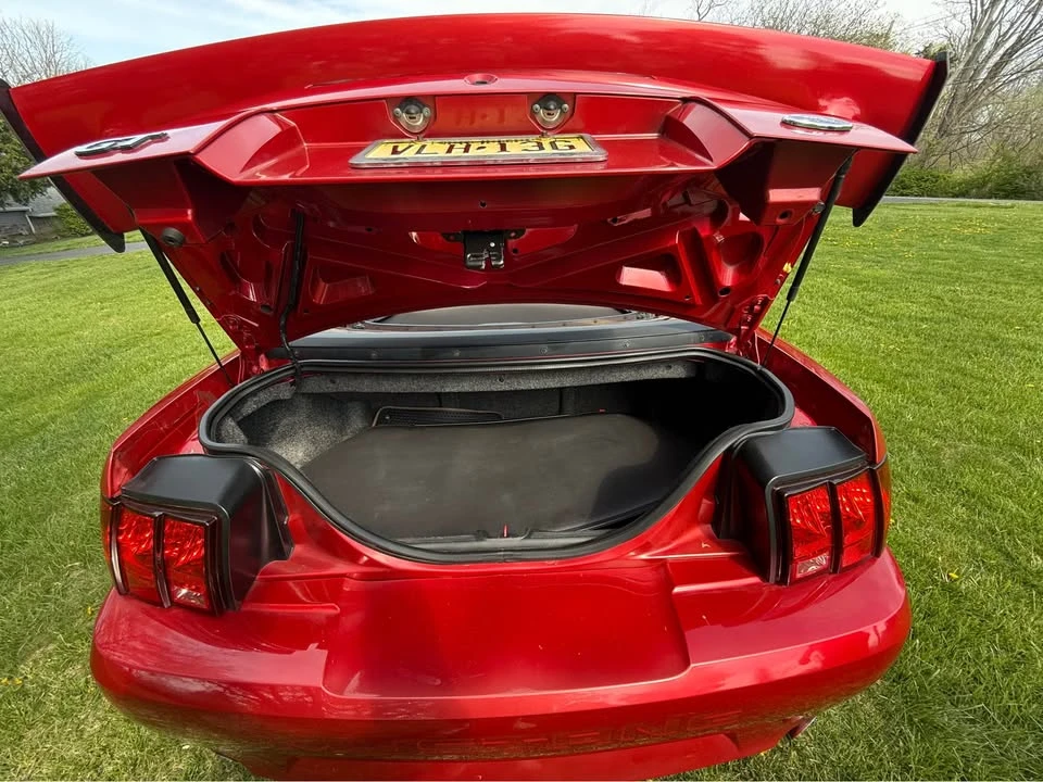1999 Ford SN95 Mustang - Image 8 of 12