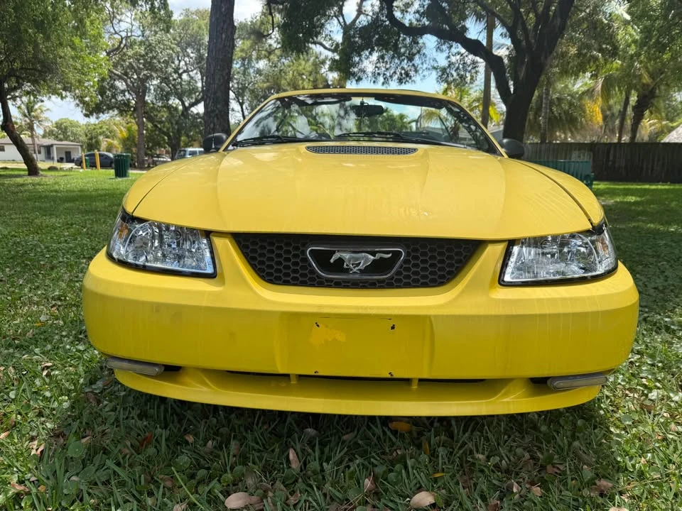 1999 Ford SN95 Mustang - Image 7 of 20