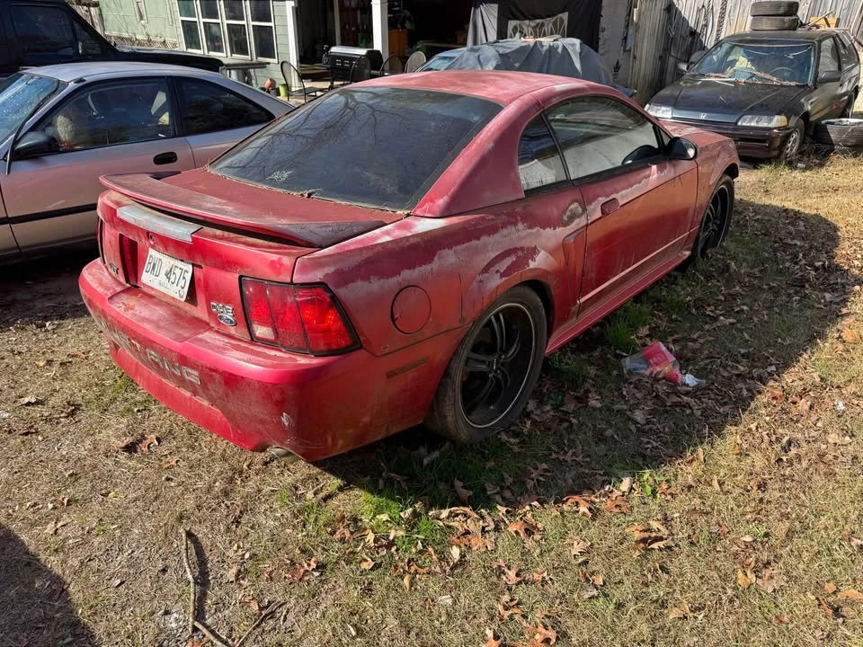 1999 Ford SN95 Mustang - Image 2 of 5