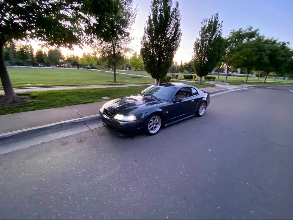 1999 Ford SN95 Mustang - Image 3 of 19