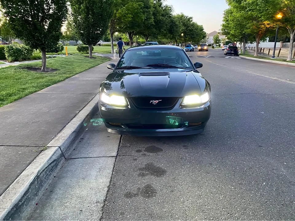 1999 Ford SN95 Mustang - Image 11 of 19