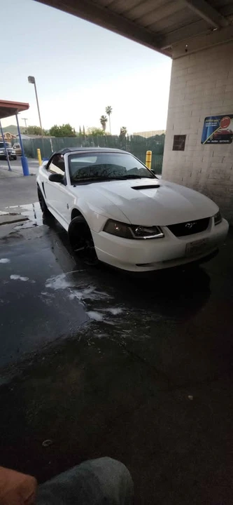 1999 Ford SN95 Mustang - Image 9 of 9
