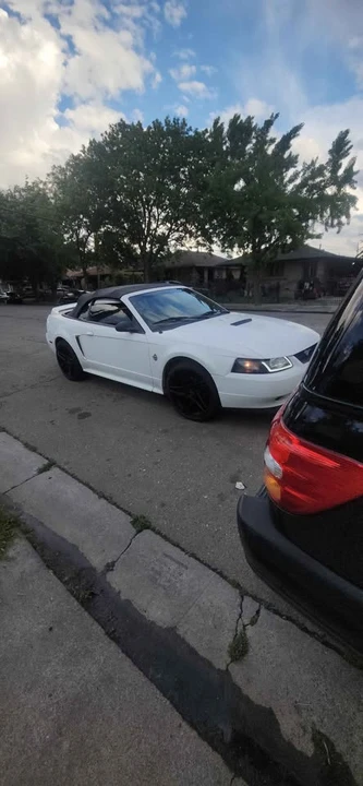 1999 Ford SN95 Mustang - Image 6 of 9