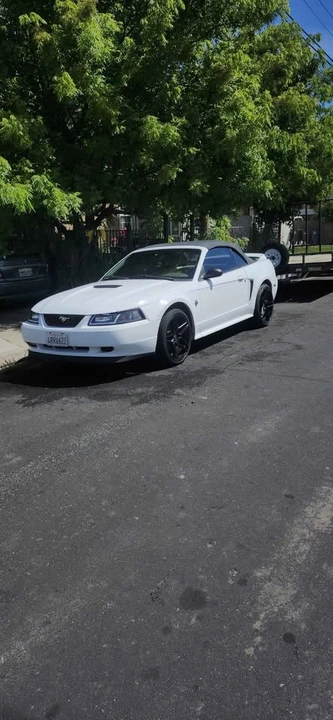 1999 Ford SN95 Mustang - Image 5 of 9