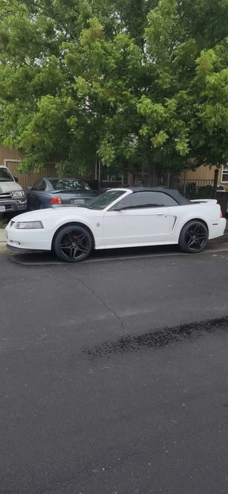 1999 Ford SN95 Mustang - Image 3 of 9