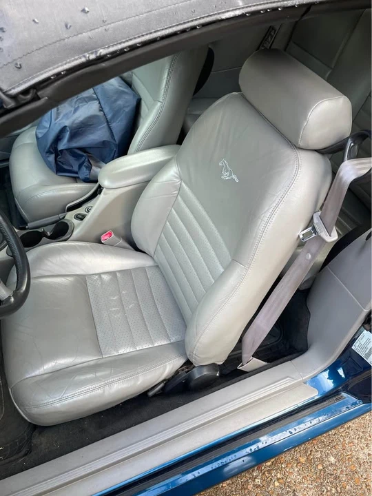 1999 Ford SN95 Mustang - Image 11 of 13