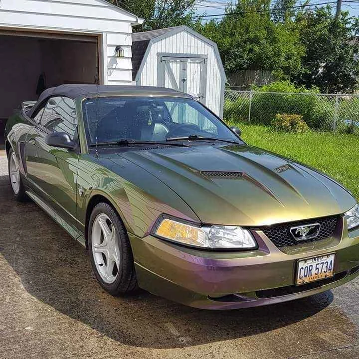 1999 Ford SN95 Mustang - Image 12 of 13