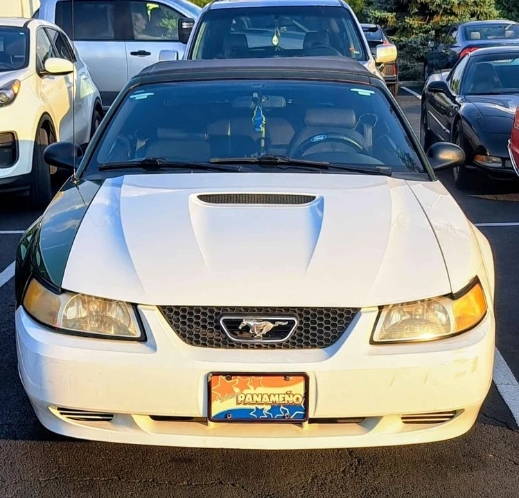 1999 Ford SN95 Mustang - Image 3 of 13