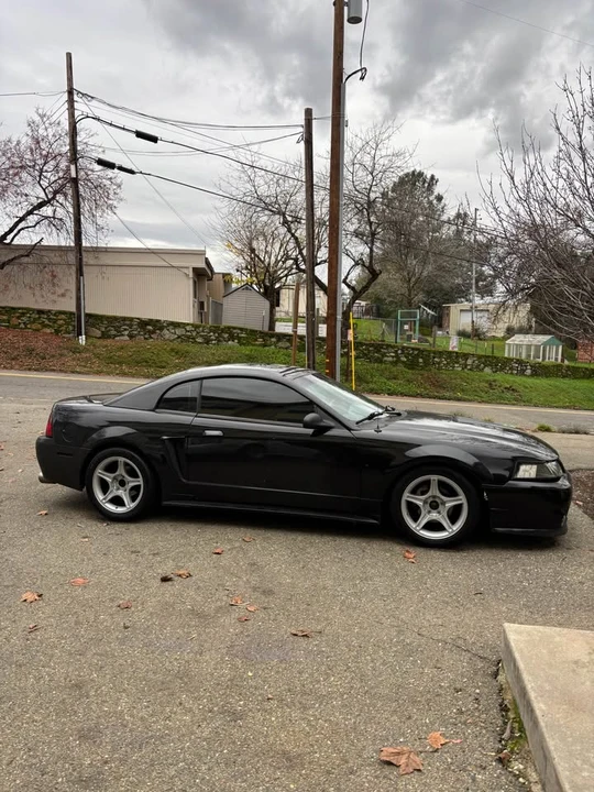 1999 Ford SN95 Mustang - Image 3 of 20