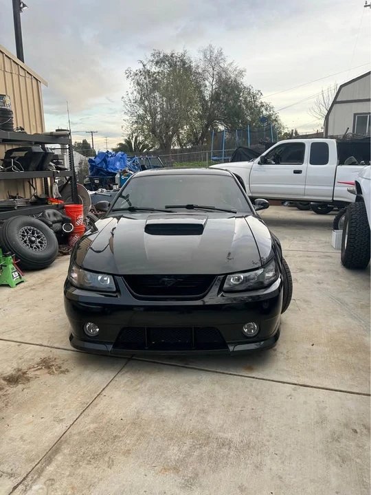 1999 Ford SN95 Mustang - Image 2 of 13