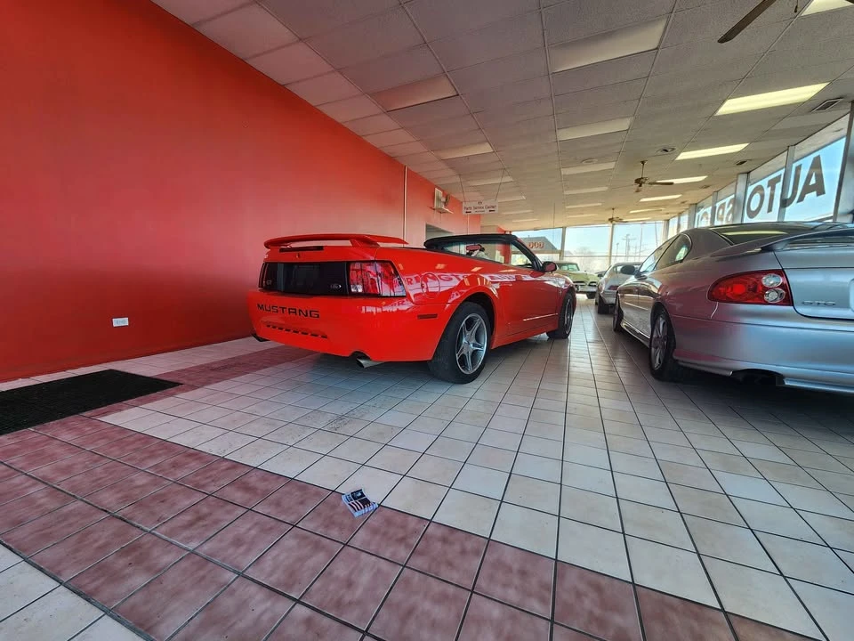 1999 Ford SN95 Mustang - Image 2 of 20