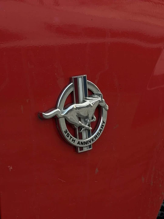 1999 Ford SN95 Mustang - Image 8 of 20