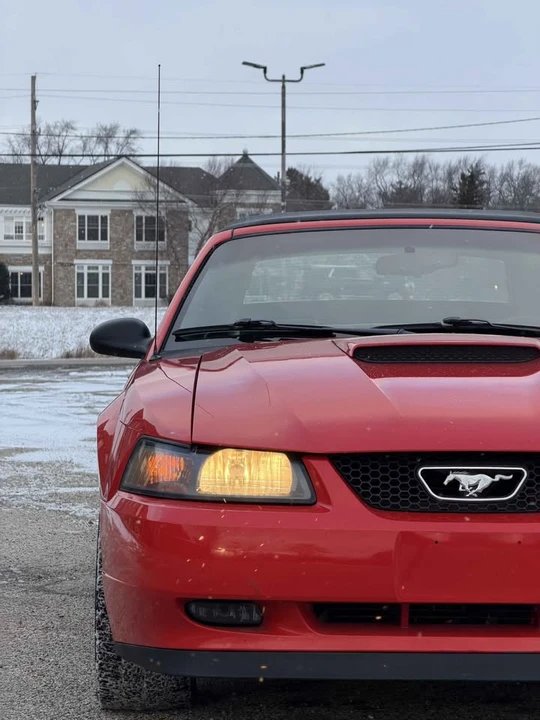 1999 Ford SN95 Mustang - Image 13 of 20
