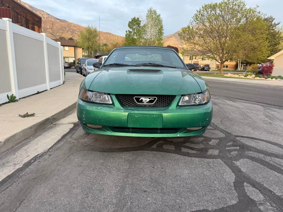 1999 Ford SN95 Mustang - Image 3 of 9