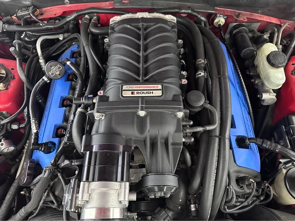 1999 Ford SN95 Mustang Cobra - Image 4 of 15