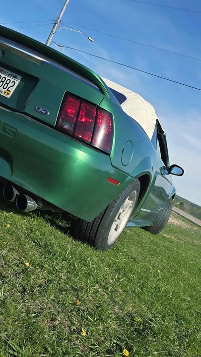 1999 Ford SN95 Mustang - Image 7 of 7