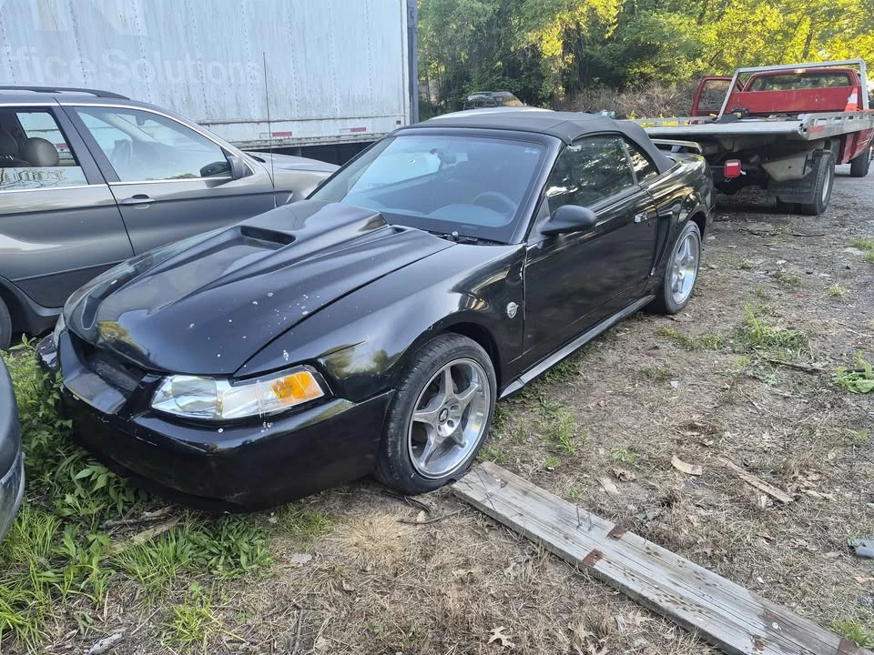 1999 Ford SN95 Mustang - Image 2 of 9