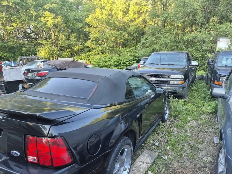 1999 Ford SN95 Mustang - Image 3 of 9