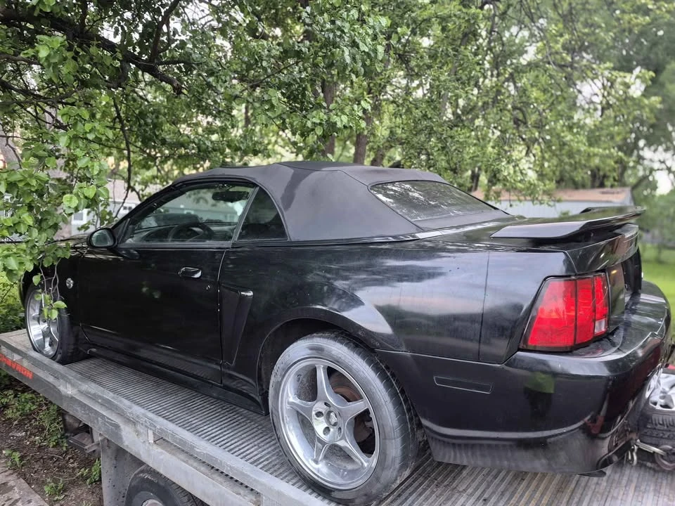 1999 Ford SN95 Mustang - Image 8 of 9