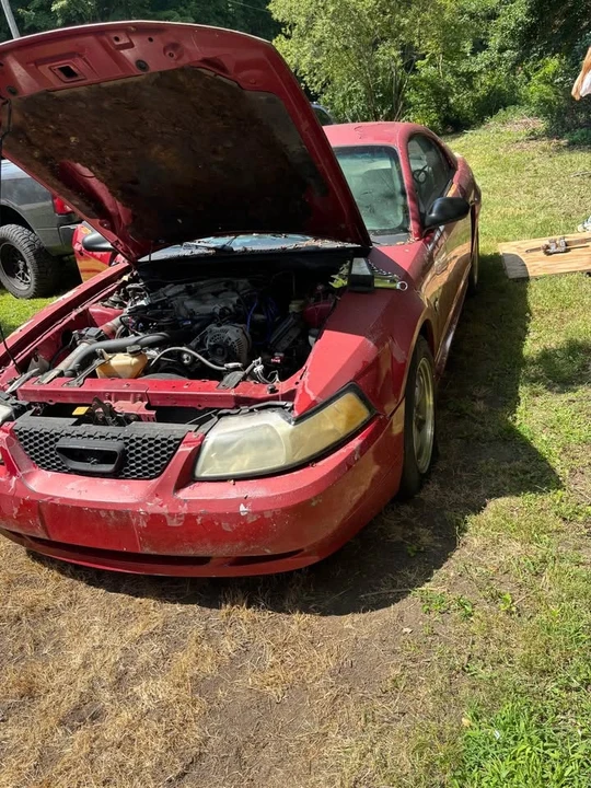 1999 Ford SN95 Mustang - Image 5 of 6