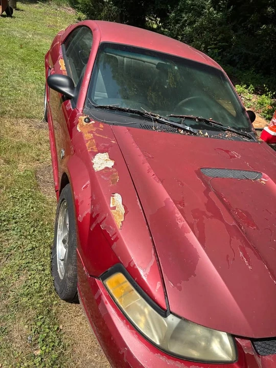 1999 Ford SN95 Mustang - Image 2 of 6