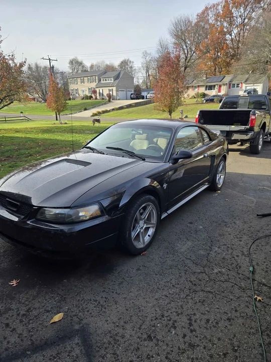 1999 Ford SN95 Mustang - Image 3 of 6