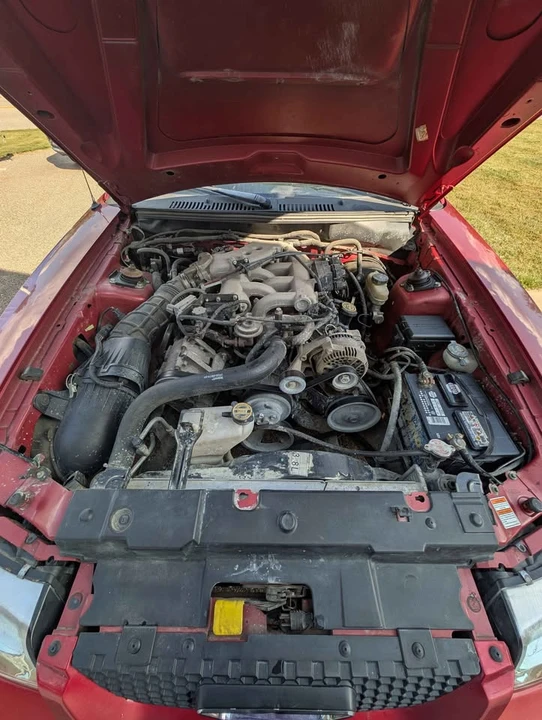 1999 Ford SN95 Mustang - Image 14 of 17