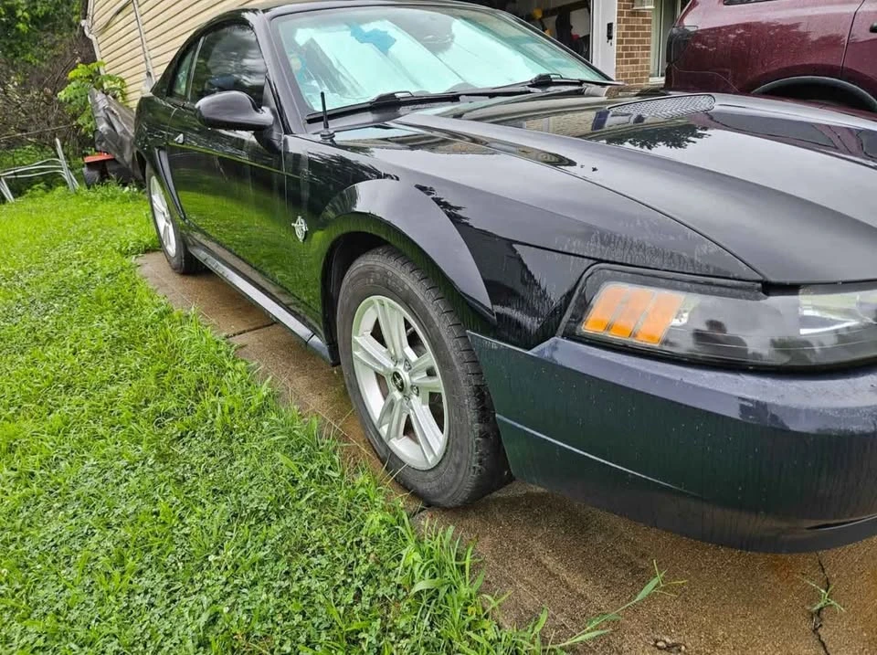 1999 Ford SN95 Mustang - Image 5 of 6