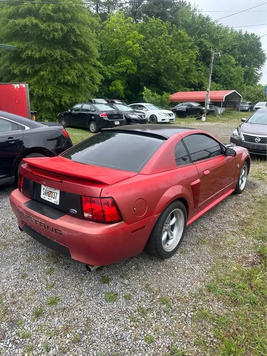 1999 Ford SN95 Mustang - Image 5 of 10