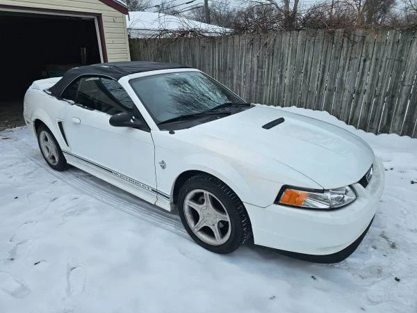 1999 Ford SN95 Mustang - Image 11 of 13