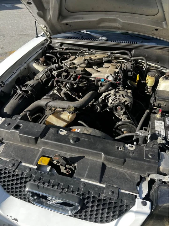 1999 Ford SN95 Mustang - Image 6 of 11