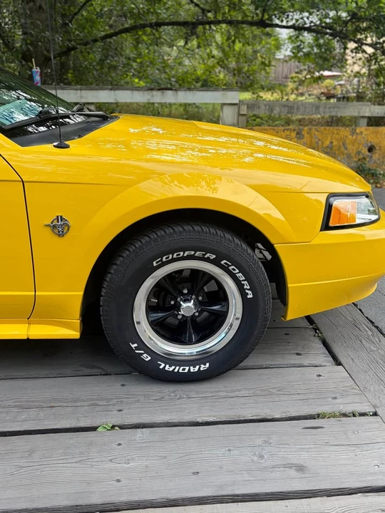 1999 Ford SN95 Mustang - Image 4 of 10