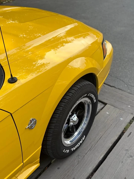 1999 Ford SN95 Mustang - Image 3 of 10