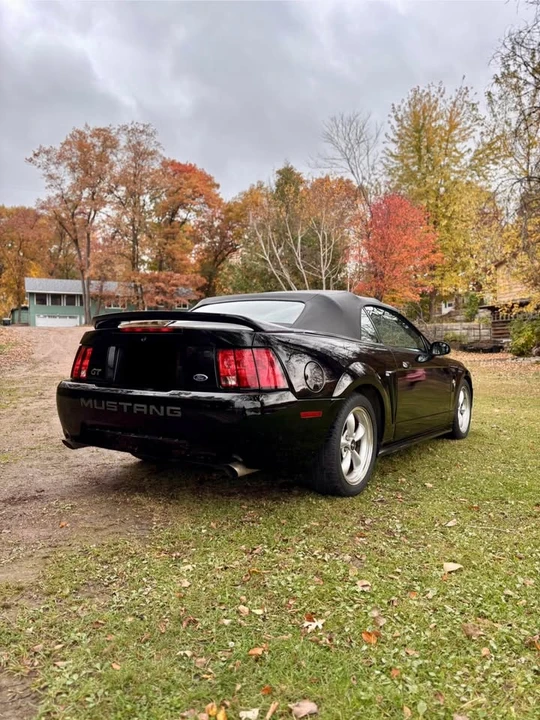 1999 Ford SN95 Mustang - Image 3 of 10