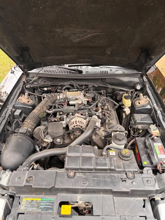 1999 Ford SN95 Mustang - Image 9 of 10